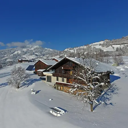 Near Kitzski Slopes, Cleaning Included Mittersill